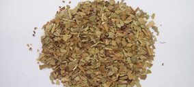 Salomón proyecta ampliar su fábrica murciana