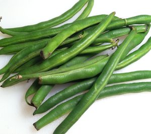 Agroatlas invierte en judía redonda