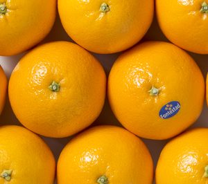 Fontestad incrementará moderadamente su facturación este ejercicio