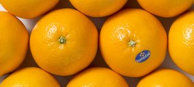 Fontestad incrementará moderadamente su facturación este ejercicio