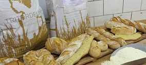 Agrasys internacionaliza su cereal ecológico Tritordeum