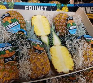 Fuerte crecimiento de la malagueña Frunet