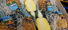 Fuerte crecimiento de la malagueña Frunet