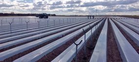 Cuna de Platero inicia la plantación de fresa en Ávila para alargar la campaña