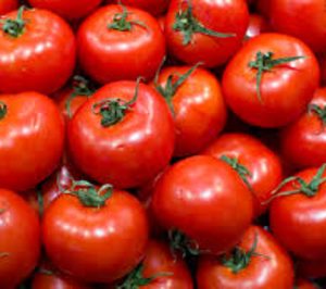 Tomalia prevé crecer un 35%  este ejercicio