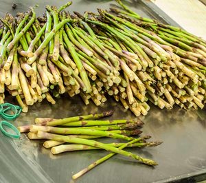 Unica Group amplía cobertura territorial con la integración de SCA Europeos