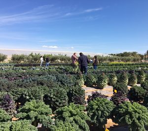 Tozer Seeds prueba cultivos en Murcia