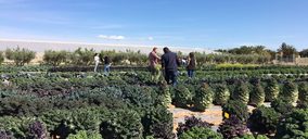 Tozer Seeds prueba cultivos en Murcia