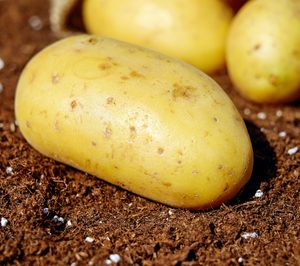 Patatas Naturales Seleccionadas cambia de estrategia