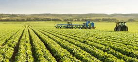 Acedera, un nuevo brote en el catálogo de Florette