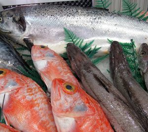 Pesciro bate su marca en pescado congelado y supera los 40 M€