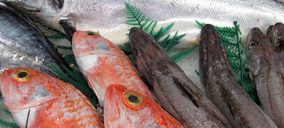 Pesciro bate su marca en pescado congelado y supera los 40 M€