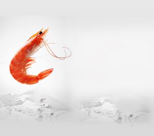 Langus Seafood invierte en la mejora de sus instalaciones