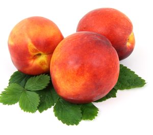 Frutas Esther presupuesta nuevas inversiones