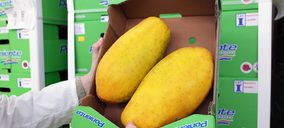 Grupo Agroponiente entra en la categoría de productos tropicales