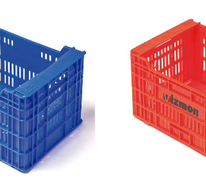 Vizmon vuelve a crecer en 2016