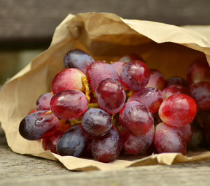 El Ciruelo proyecta un nuevo plan inversor