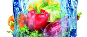 Informe 2017 del sector de vegetales congelados