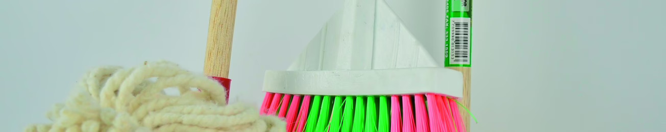 Análisis 2017 del lineal de útiles de limpieza