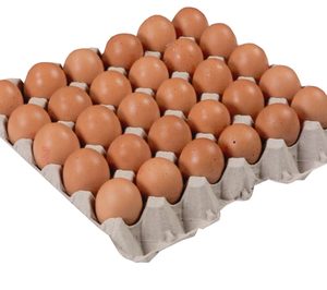 Huevos de Lucas construirá una nueva fábrica de ovoproductos
