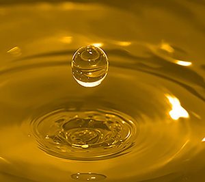 Grupo Plimon instalará una nueva línea en Lleida