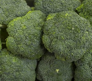 Aumenta el consumo de brócoli en España gracias a la promoción