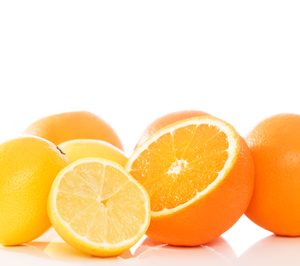 Dallant refuerza su red industrial con nuevas inversiones