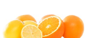 Dallant refuerza su red industrial con nuevas inversiones