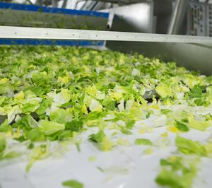 Florette invierte 5 M€ en la ampliación de los centros de Navarra y Murcia