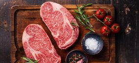 Bormarket engrosa su oferta en soluciones congeladas y confía en crecer un 11%