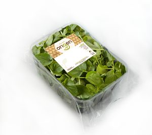 Vegetales Línea Verde presenta Origen, brotes de primera gama