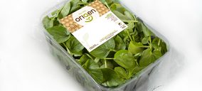 Vegetales Línea Verde presenta Origen, brotes de primera gama