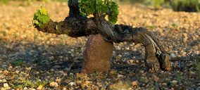 El proyecto europeo de mejora de la sostenibilidad vitivinícola en Priorat absorberá 1,5 M