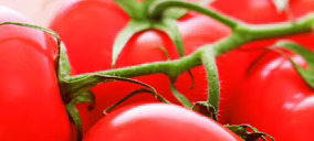 SAT Bonnysa confía en haber llegado a su punto de inflexión