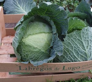 Freshcut se alía con SAT Labregos de Lugo