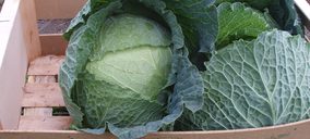 Freshcut se alía con SAT Labregos de Lugo