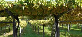 Las bodegas en zonas turísticas esperan ver crecer sus visitas un 10% este verano