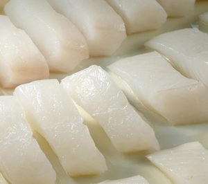 Grupo Pereira presupuesta inversiones por valor de 26 M en el bienio 2016/17