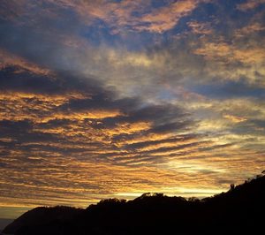 El concepto Belleza se aleja de la cosmética