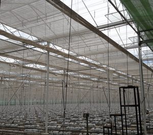 Planasa adquiere un invernadero de cristal en la comunidad foral de Navarra