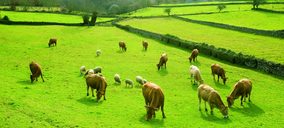 Las instalaciones de Artesanos Gallegos de la Carne salen a la venta