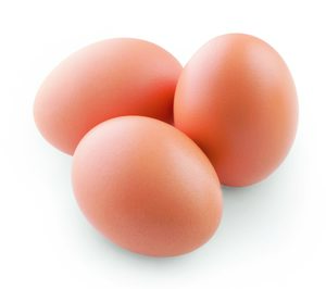 Marcopolo Comercio, más inversiones tras la entrada de un nuevo socio