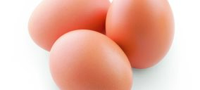 Marcopolo Comercio, más inversiones tras la entrada de un nuevo socio