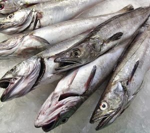 Iberconsa cierra una importante operación en Sudáfrica