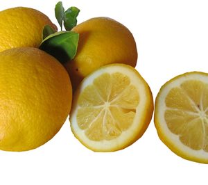 La próxima cosecha de limón mantendrá volúmenes, según datos de Ailimpo