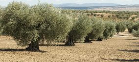 Ángel Camacho implanta Camacho Integra, repite ventas e invierte