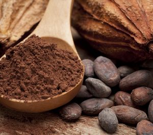 Moner Cacao inicia una estrategia de desarrollo y relanza su fibra de cacao