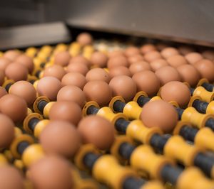 Los productores de huevos se anticipan a la demanda cage free con importantes inversiones