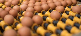 Los productores de huevos se anticipan a la demanda cage free con importantes inversiones