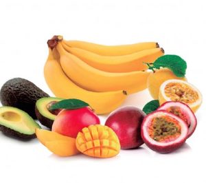 Concentrol elabora un nuevo catálogo de soluciones de conservación de alimentos